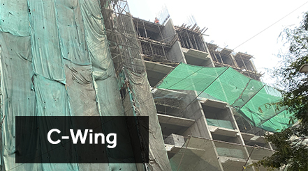 the baya junction construction updates and current project status